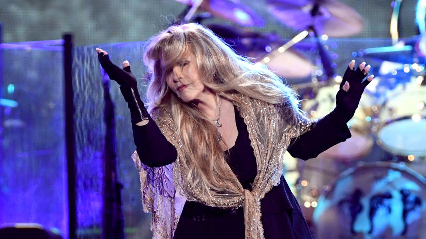 Sängerin Stevie Nicks