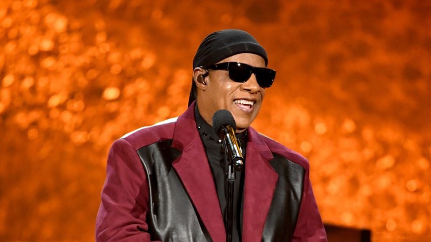 Stevie Wonder in Los Angeles