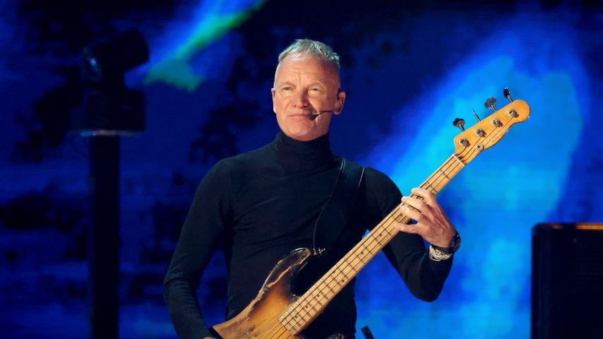 Sting, Musiker