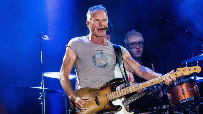Sting, Musiker