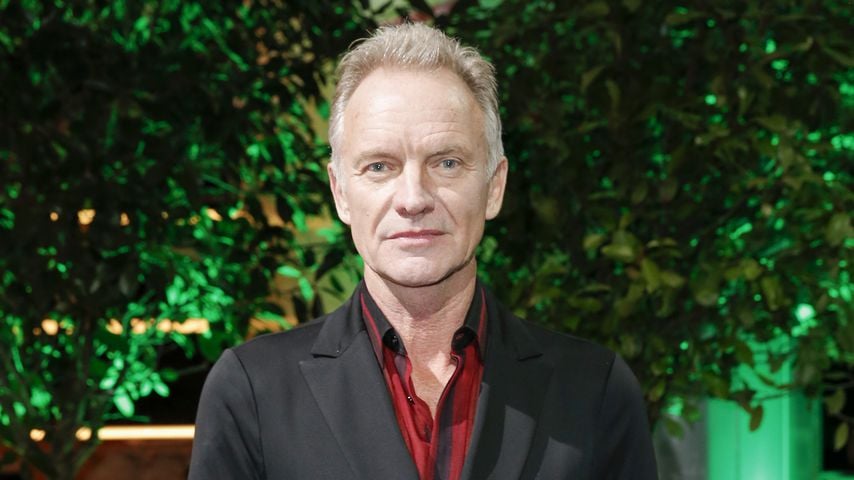 Sting beim International Music Award in Berlin im November 2019