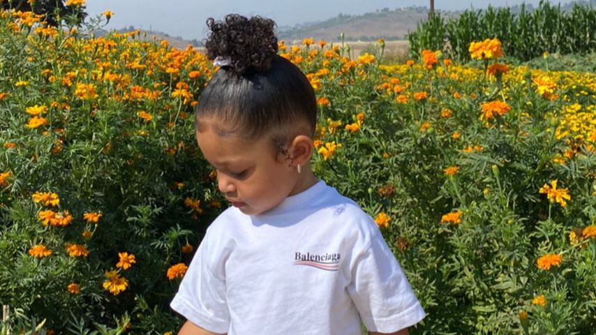 Stormi Webster
