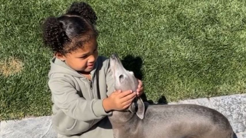 Kylie Jenners Tochter Stormi mit ihrem Hund Norman