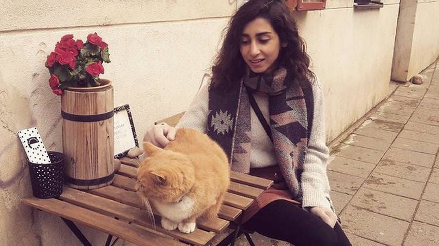 Suri Abbassi, Schauspielerin
