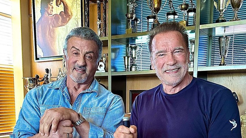 Sylvester Stallone und Co.: Stars freuen sich auf Halloween