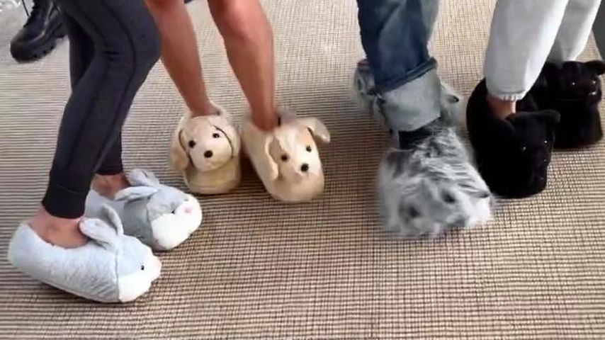 Sylvester Stallone und seine Familie im Dezember 2022