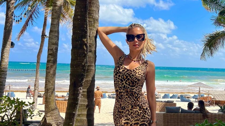 Sylvie Meis, Influencerin