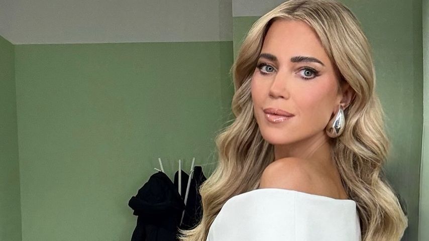 Sylvie Meis, Moderatorin