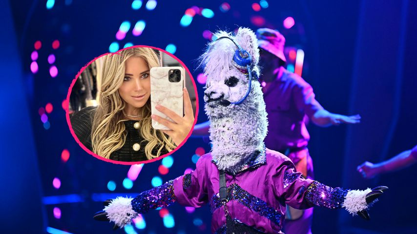 Web-Tarnung: So lenken Kandidaten von "The Masked Singer" ab