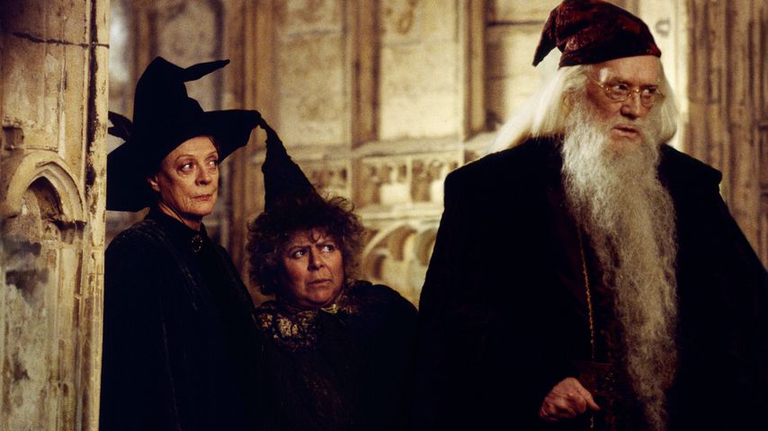 Szene aus "Harry Potter und die Kammer des Schreckens"