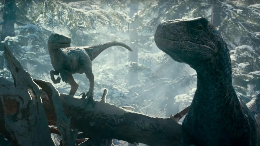 Mit Jeff Goldblum: "Jurassic World"-Trailer begeistert Fans