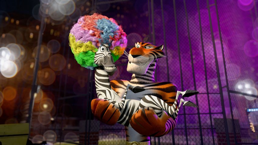 Szene aus "Madagascar 3: Flucht durch Europa" (2012)
