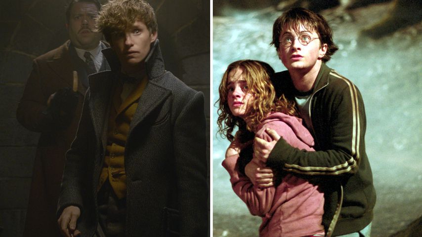 "Phantastische Tierwesen" & "Harry Potter" im Netflix-Januar