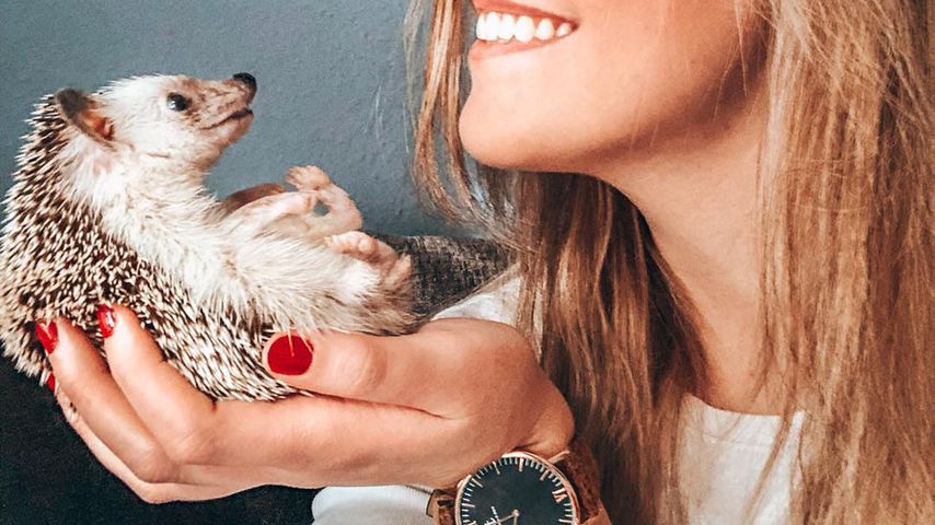 Traurige Neuigkeit: Insta-Star und Igel Mr. Pokee ist tot!