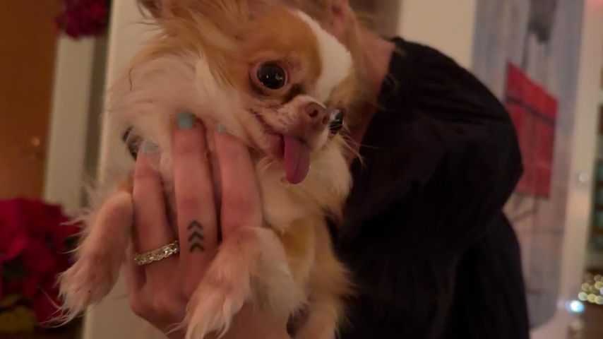 Tallulah Willis und Demi Moores Hund Pilaf im Dezember 2024