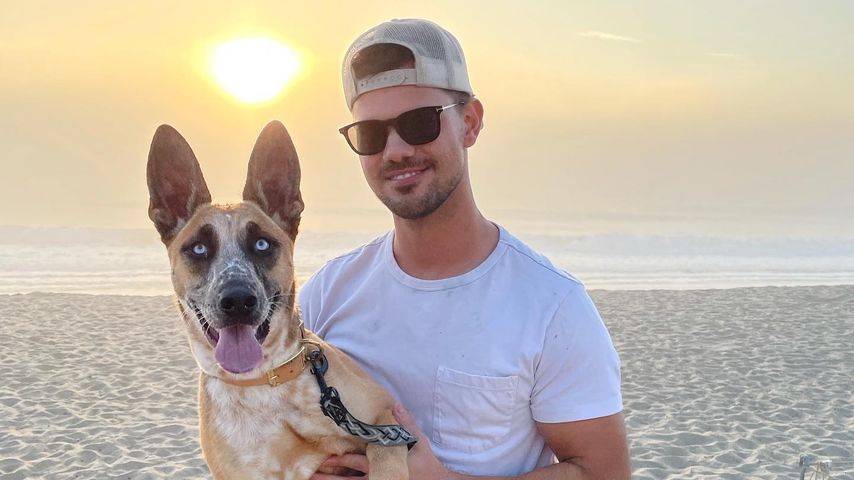 Aua! Taylor Lautner haut sich ein Hundespielzeug ins Gemächt