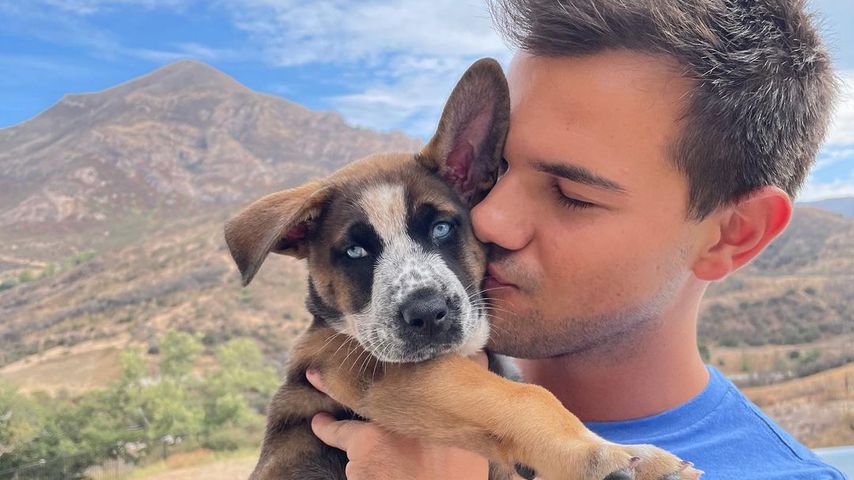 Taylor Lautner mit seiner Hündin Remi