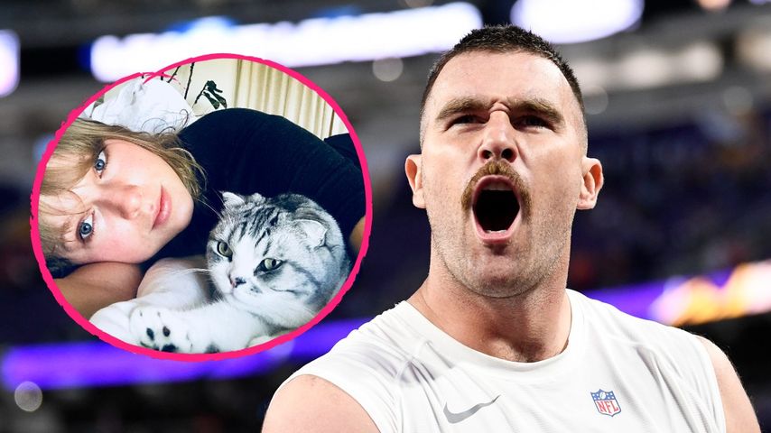 Taylor Swifts Katze ist reicher als ihr Liebster Travis!