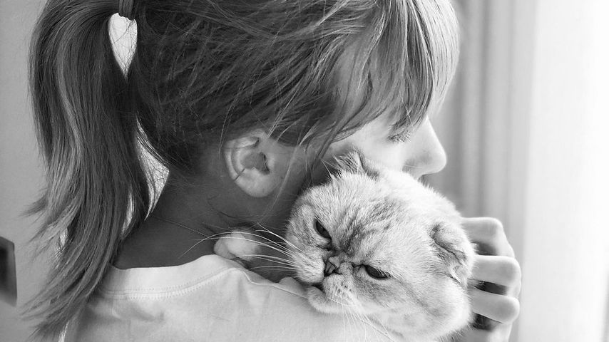 Taylor Swift: Ihre Influencer-Katzen sind Multimillionäre!
