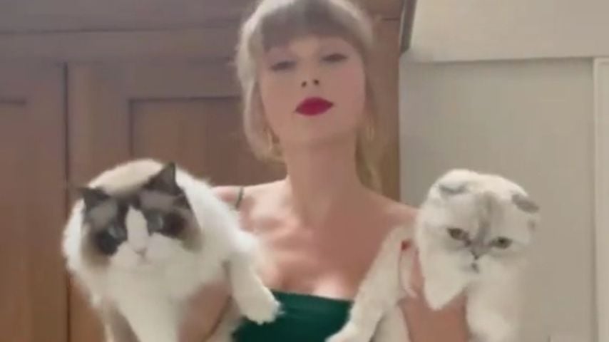 Taylor Swift mit ihren Katzen