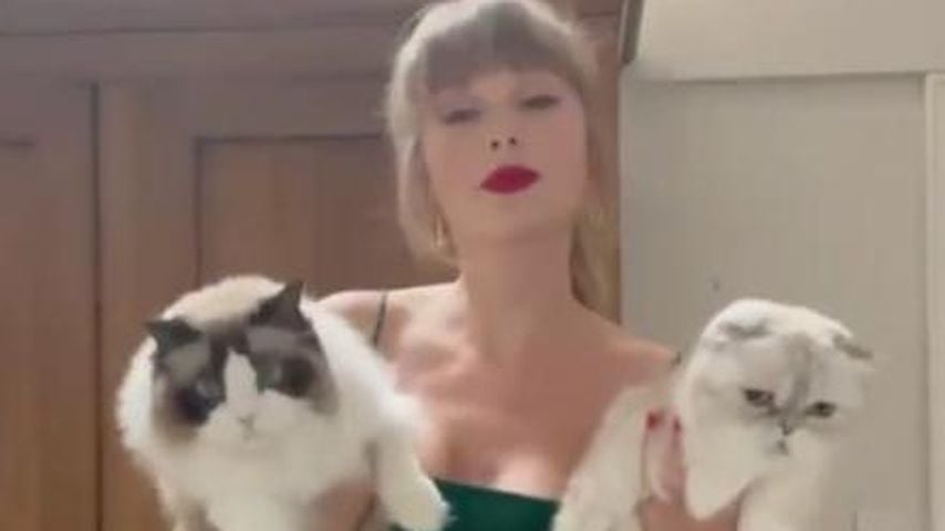 Taylor Swift mit ihren Katzen