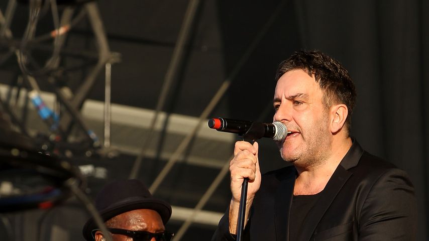 Terry Hall, Musiker