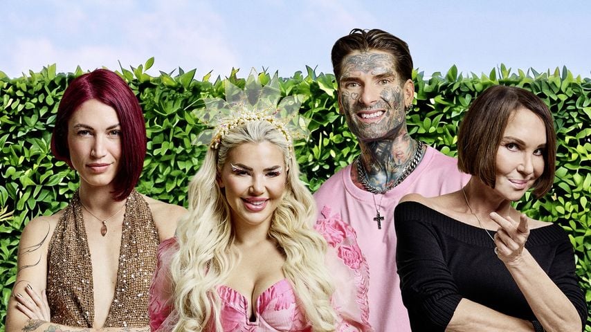 Kim, Nikola, Tessa & Anouschka: So reagieren Promi-BB-Stars