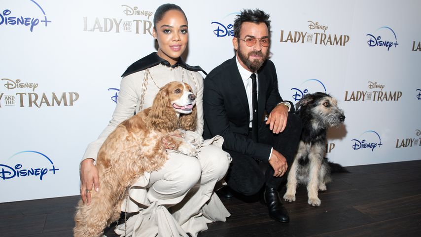 Tessa Thompson und Justin Theroux mit den Hunden Rose und Monte aus "Susi und Strolch"