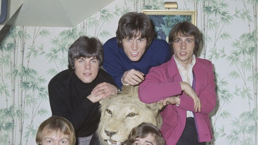 The Bee Gees, Musikgruppe