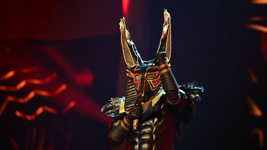 Der "The Masked Singer"-Anubis