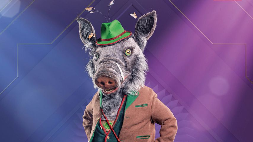 "The Masked Singer Austria": Er steckte im Wildschweinkostüm