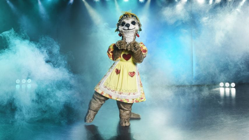 "The Masked Singer"-Erdmännchen