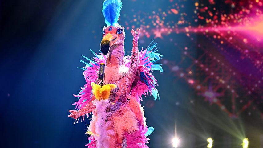 Der Flamingo bei "The Masked Singer" 2021