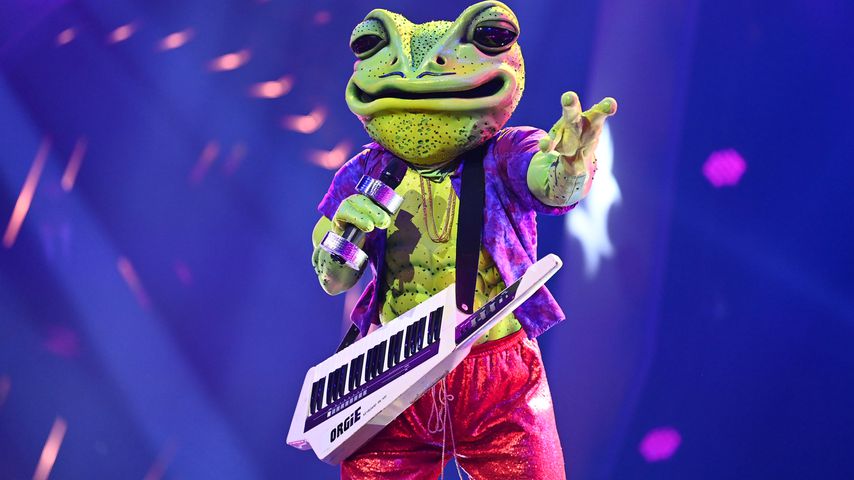 Tatsächlich! Wigald Boning ist "The Masked Singer"-Frosch