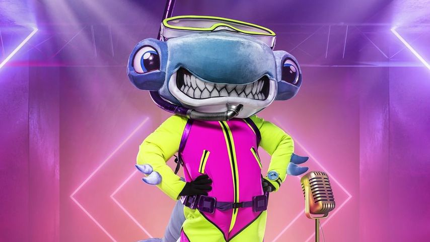 "The Masked Singer"-Hammerhai