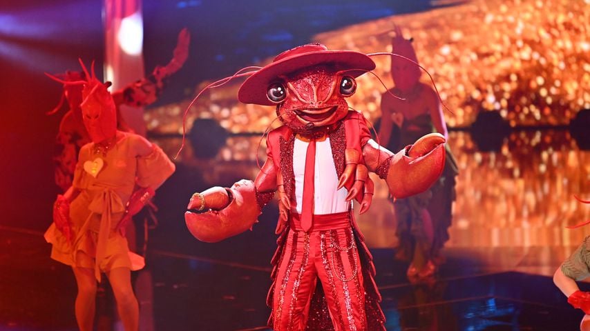 "The Masked Singer"-Hummer in der zweiten Folge