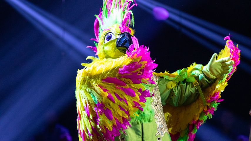 "The Masked Singer"-Kakadu