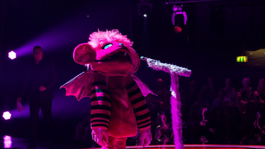 "The Masked Singer"-Kandidat Monster