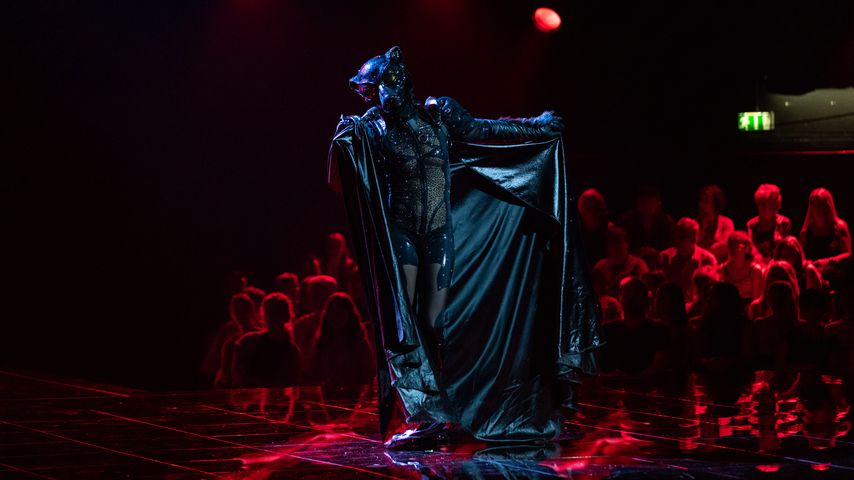 "The Masked Singer"-Kandidat Panther