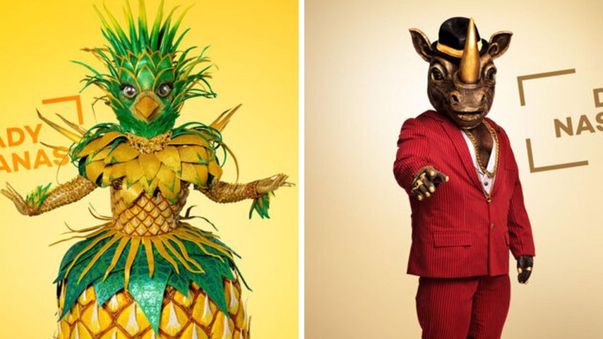 Exotisch: Das sind die zwei neuen "The Masked Singer"-Masken