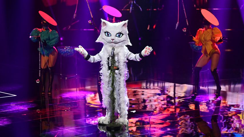 "The Masked Singer"-Katze im November 2020
