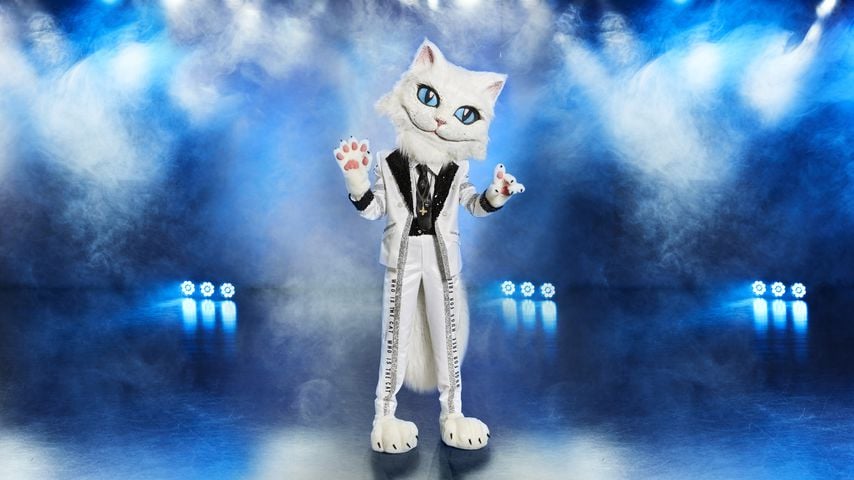 "The Masked Singer"-Katze