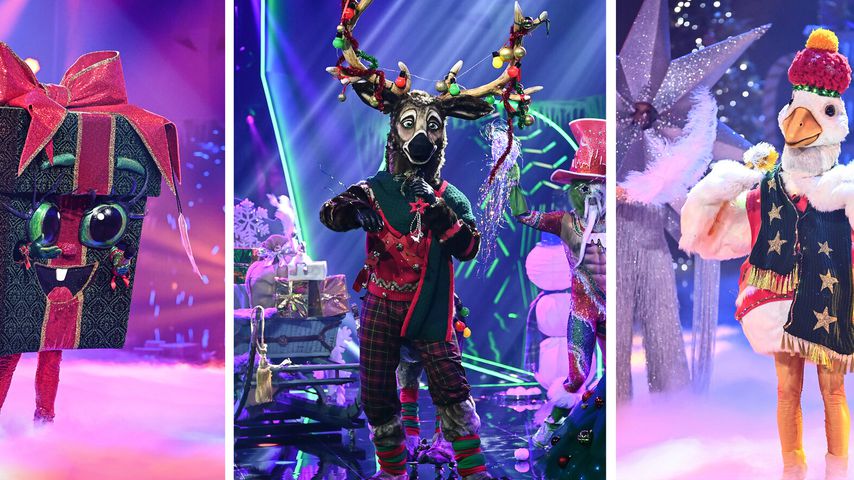 Zu leicht? Klare Vermutungen bei "The Masked Singer"-Fans
