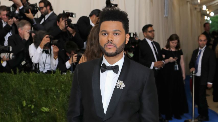 Mit neuem Album: The Weeknd drei Mal Nummer eins in Folge!