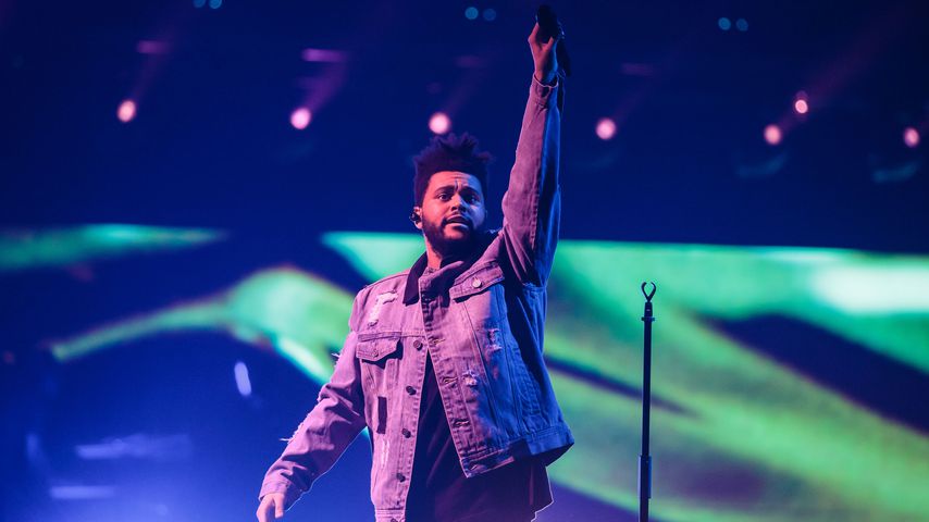 Nach Trennung von Sel: The Weeknd hat neue Mieze am Start!