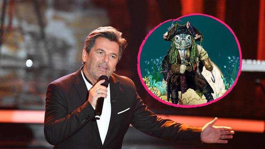 Ist Thomas Anders die "The Masked Singer"-Schildkröte?