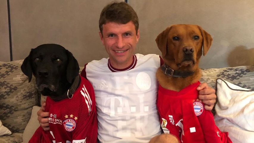 Beinamputation: Hündin von Thomas Müller hatte Knochenkrebs
