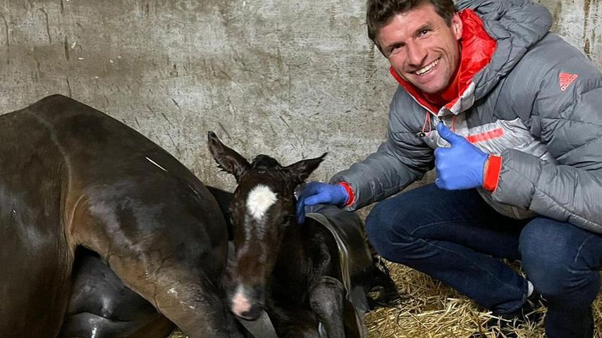 Thomas Müller mit seinen Pferden