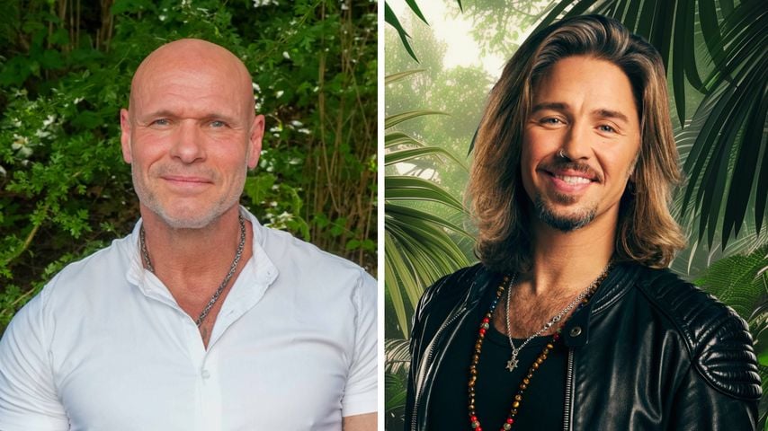 "Hat Biss": Thorsten Legat lobt Dschungelstar Gil Ofarim