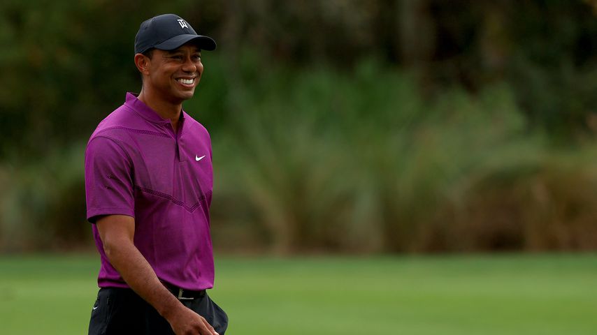 Tiger Woods, Profisportler